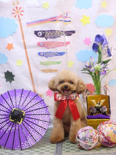 20240508ラブちゃん